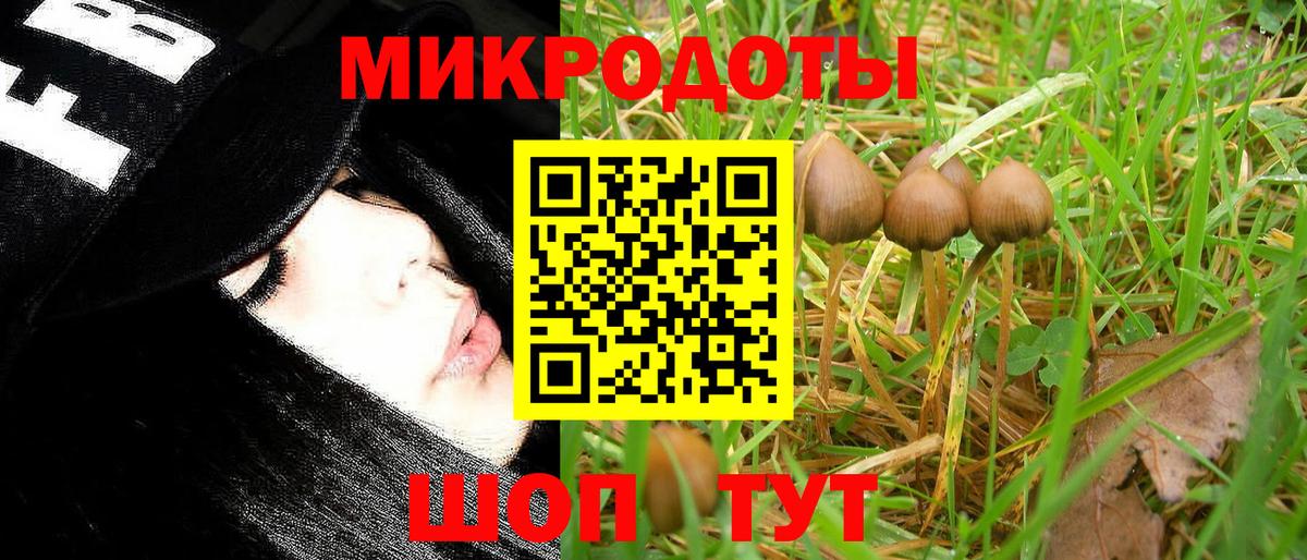 Шарыпово  Галлюциногенные грибы Psilocybine cubensis  Вход с VPN  Галлюциногенные грибы Magic Shrooms 