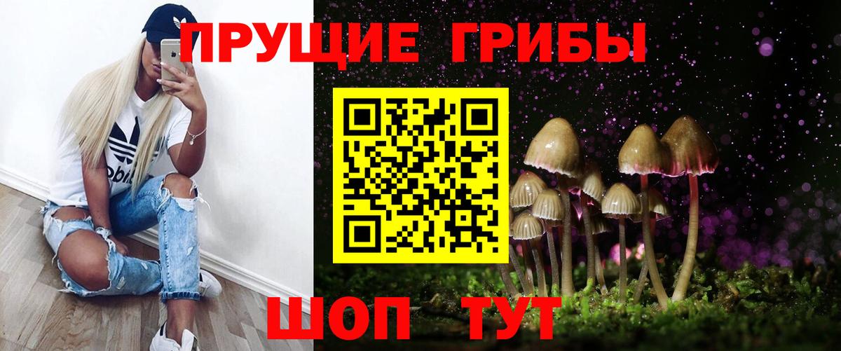 Галлюциногенные грибы Psilocybine cubensis Шарыпово